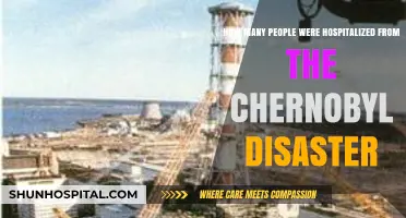 Chernobyl Disaster's Devastating Impact: Hospitalizations and Long-Term Health Effects
