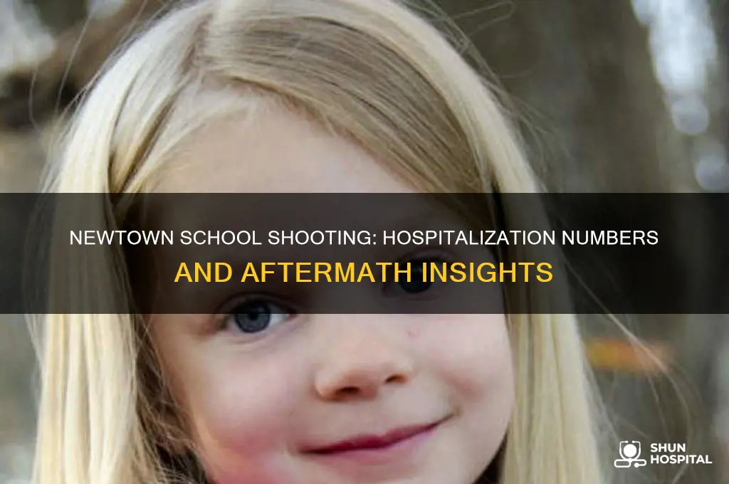 how many people were hospitalized in the newtown school shooting