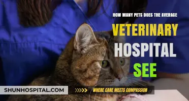 Average Veterinary Hospital Pet Visits: Unveiling the Daily Patient Count