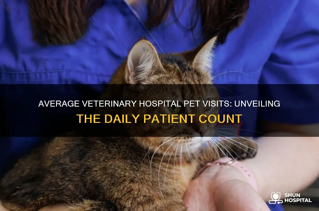 how many pets does the average veterinary hospital see