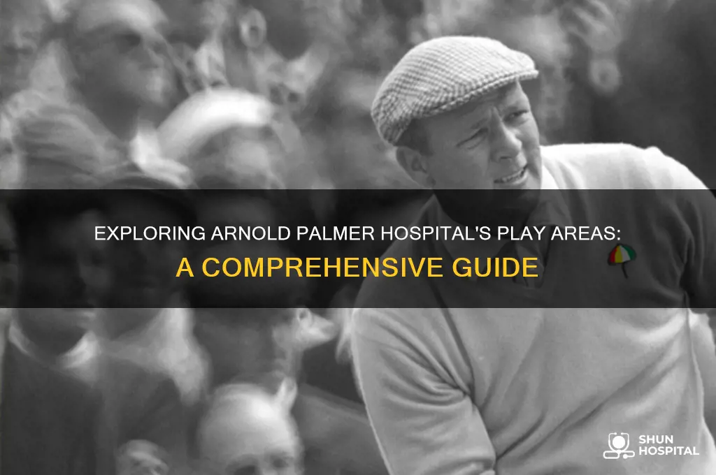 how many play areas does arnold palmer hospital have
