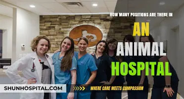 Exploring Diverse Roles and Positions in an Animal Hospital