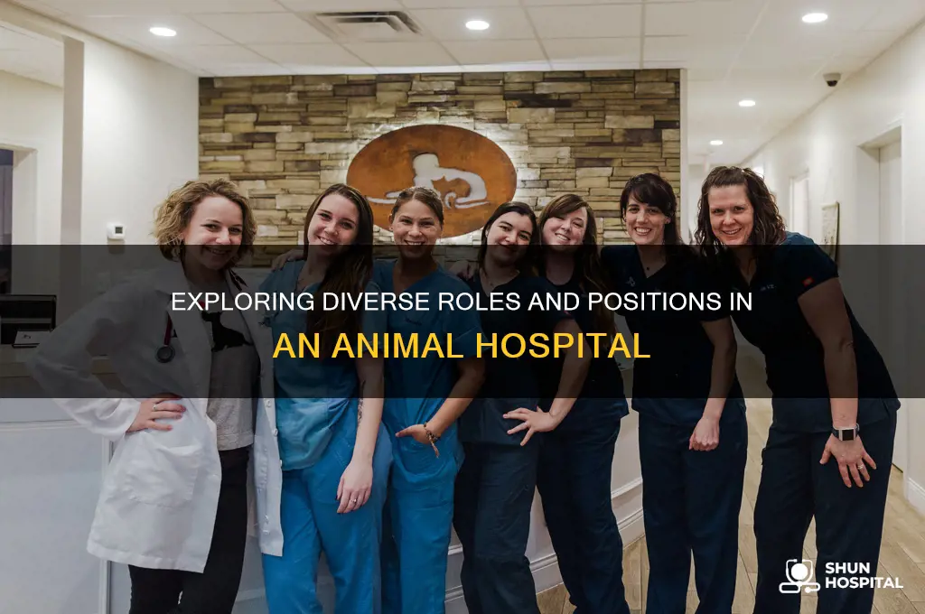 how many positions are there in an animal hospital
