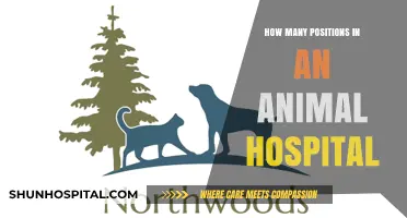 Exploring Career Paths in Animal Hospitals