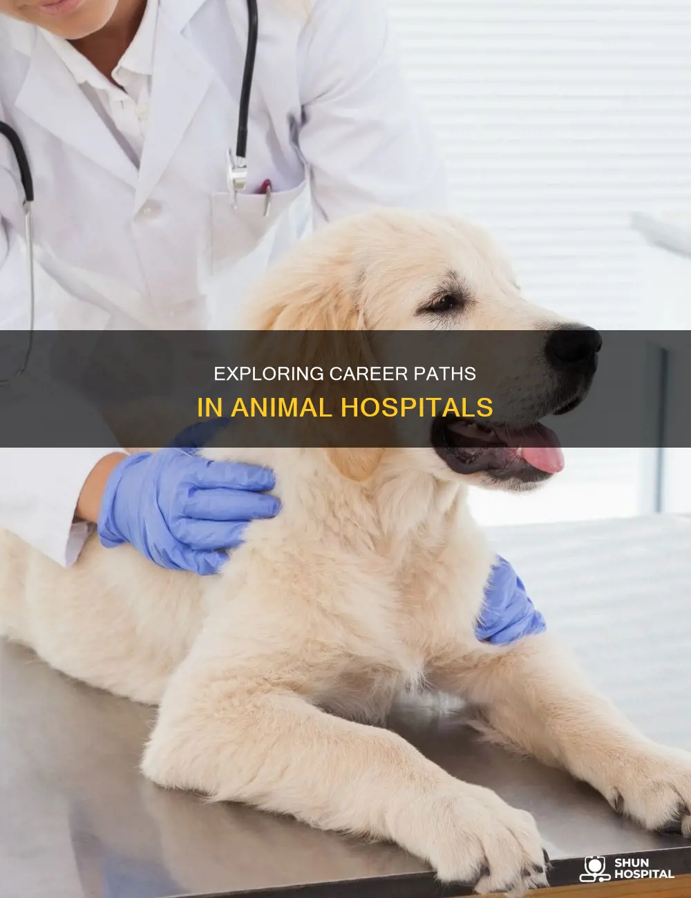 how many positions in an animal hospital