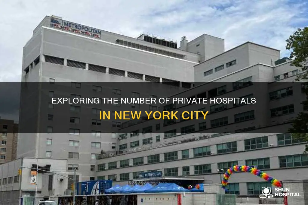 how many private hospitals are in new york city