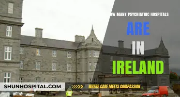 Ireland's Psychiatric Hospitals: A Comprehensive Overview