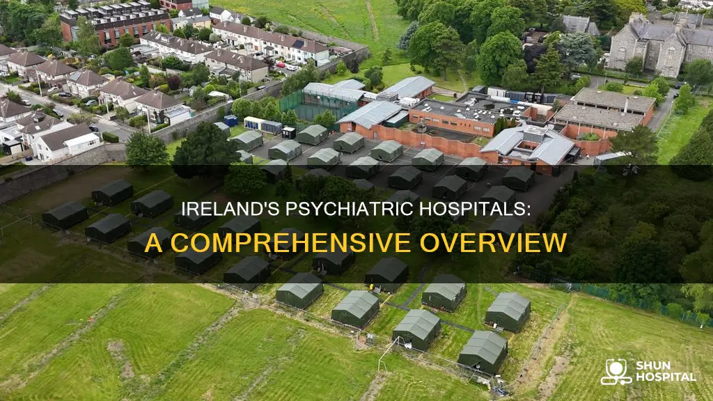how many psychiatric hospitals are in ireland