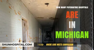 Michigan's Psychiatric Hospitals: A Comprehensive Overview