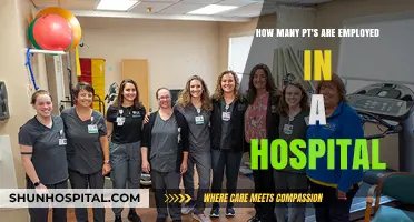 Understanding Physical Therapist Employment Numbers in Hospital Settings