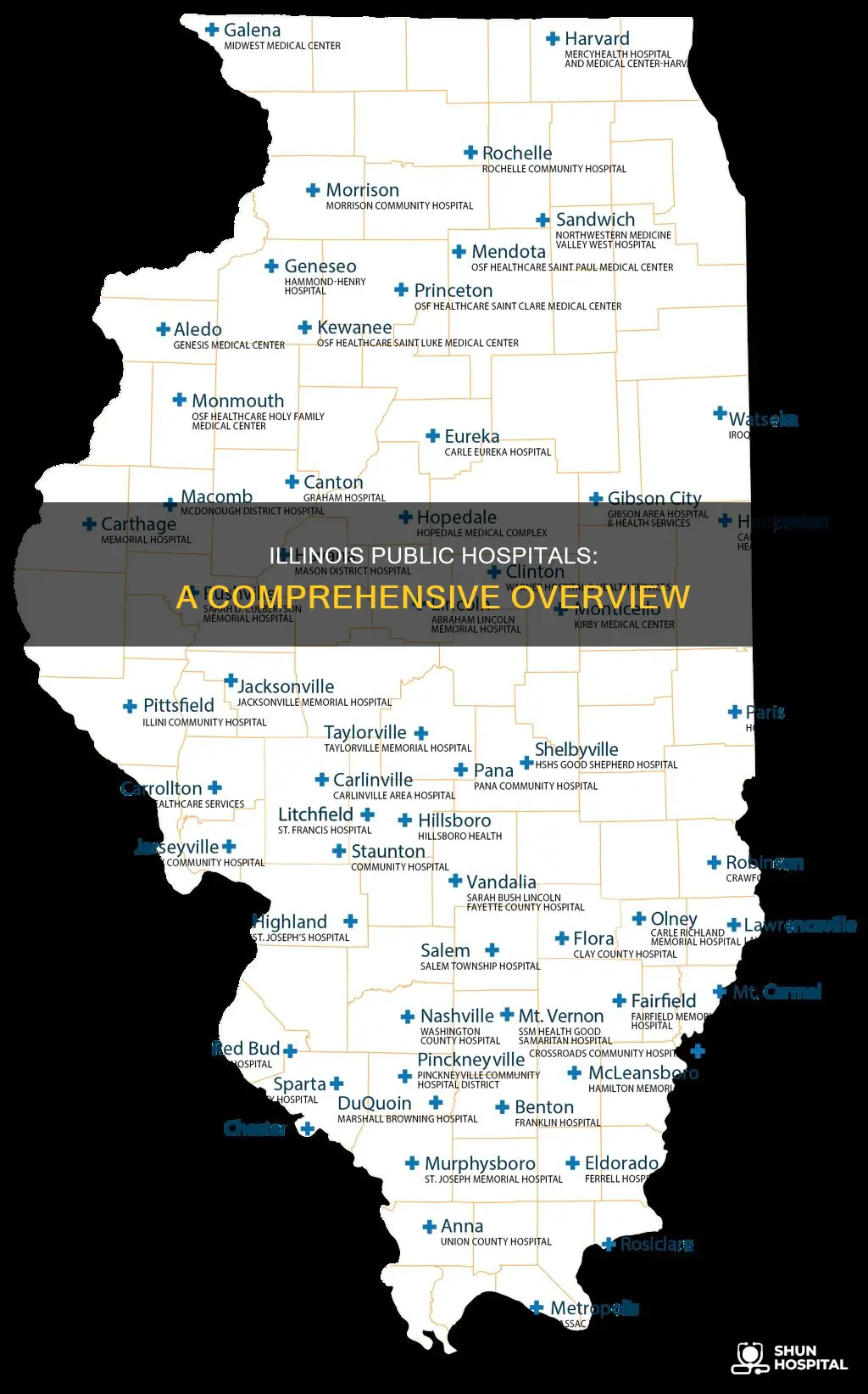 how many public hospitals are in illinois