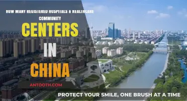 China's Healthcare Infrastructure: Registered Hospitals and Community Centers Count