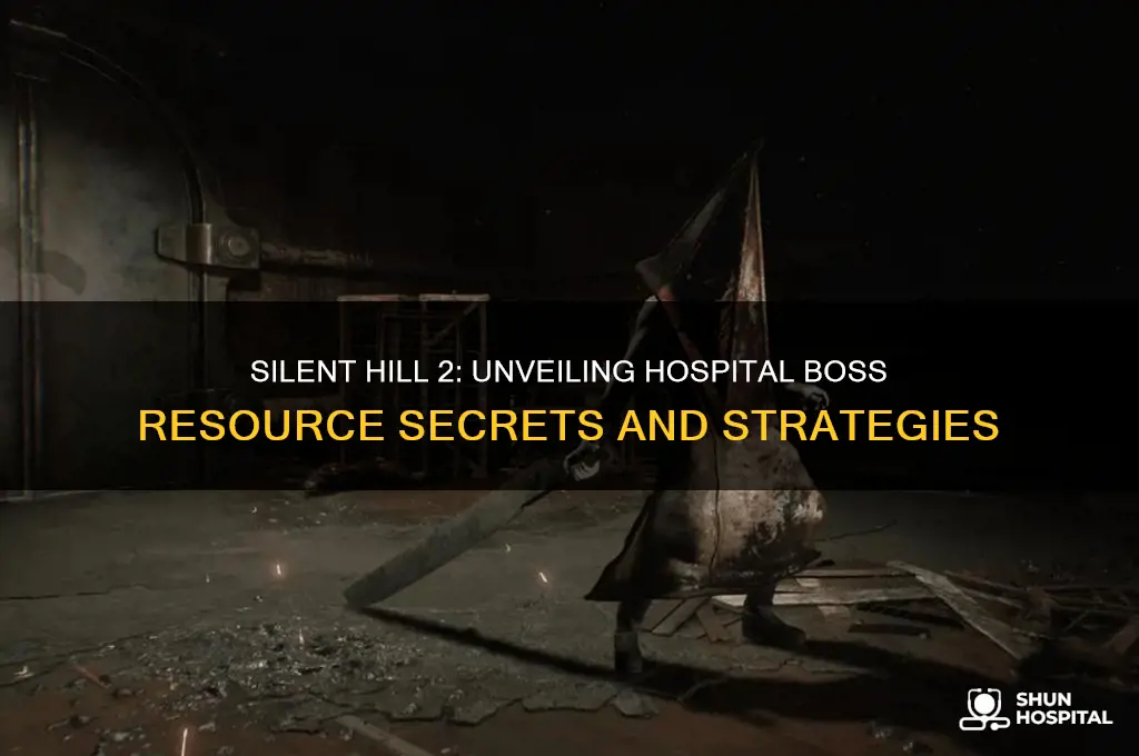 how many resources on hospital boss silent hill 2