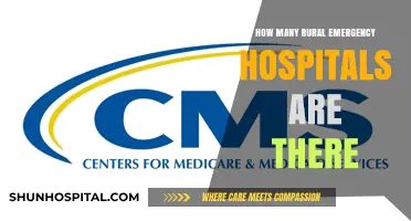 Exploring Rural Emergency Hospitals: Current Numbers and Future Plans
