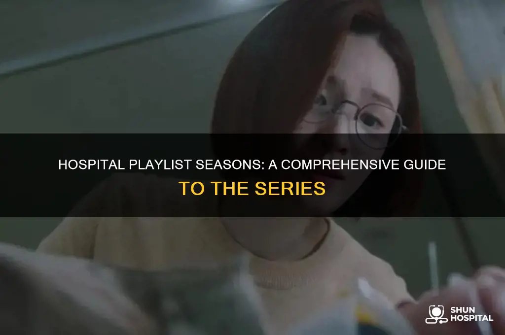 how many season hospital playlist