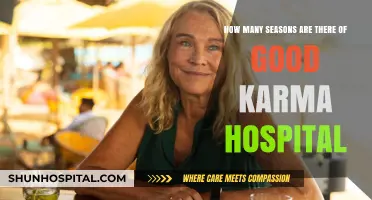 Exploring the Seasons of The Good Karma Hospital: A Complete Guide