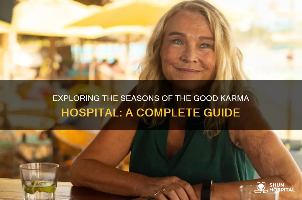 how many seasons are there of good karma hospital