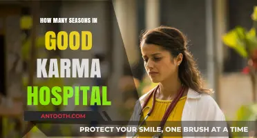 Good Karma Hospital': A Comprehensive Season Guid