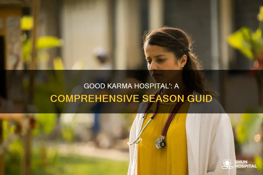 how many seasons in good karma hospital