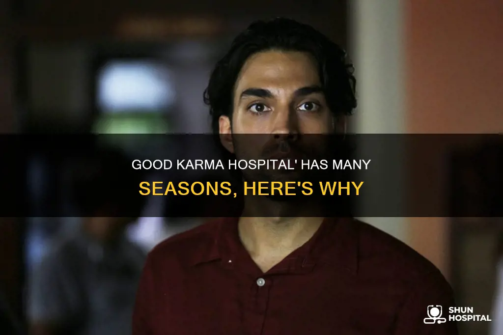 how many seasons of good karma hospital