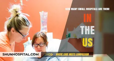 Exploring the Number of Small Hospitals Across the United States