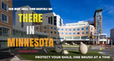 Exploring Minnesota's Small Town Hospitals: A Comprehensive Count and Overview