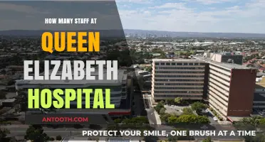 Staffing Numbers at Queen Elizabeth Hospital: A Comprehensive Overview