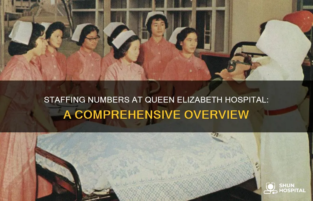 how many staff at queen elizabeth hospital