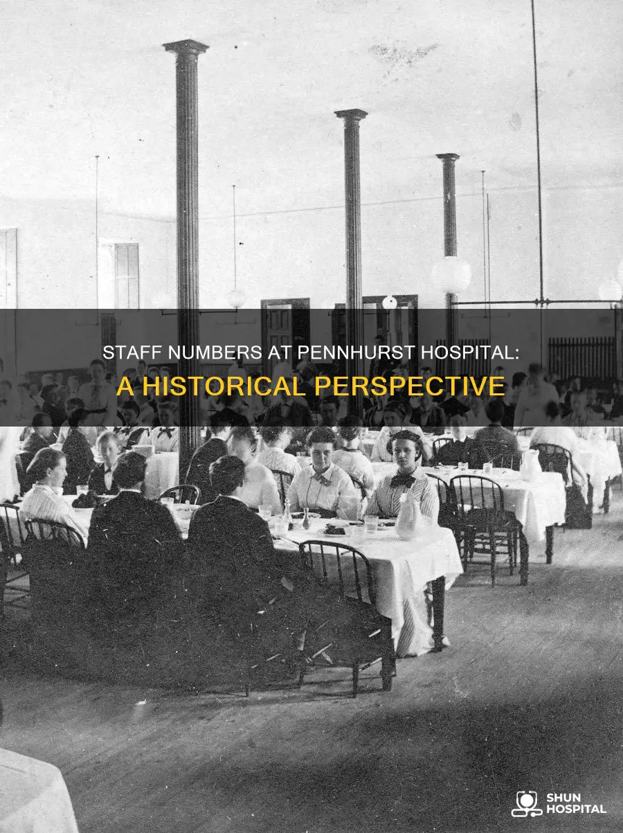 how many staff were in pennhurst hospital