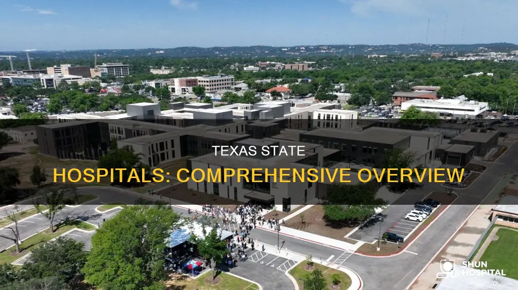 how many state hospitals are in texas