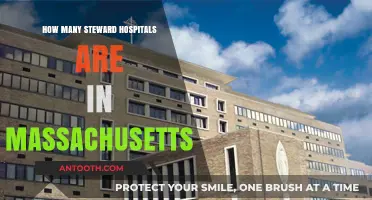 Steward Health Care: Massachusetts' Extensive Hospital Network