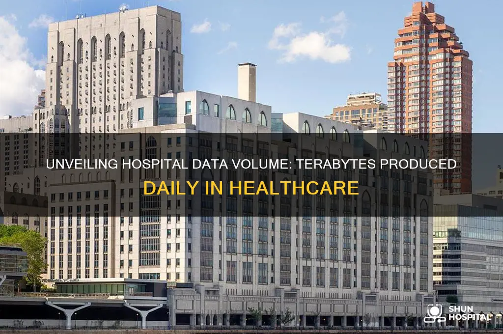 how many terabytes of data does a hospital produce