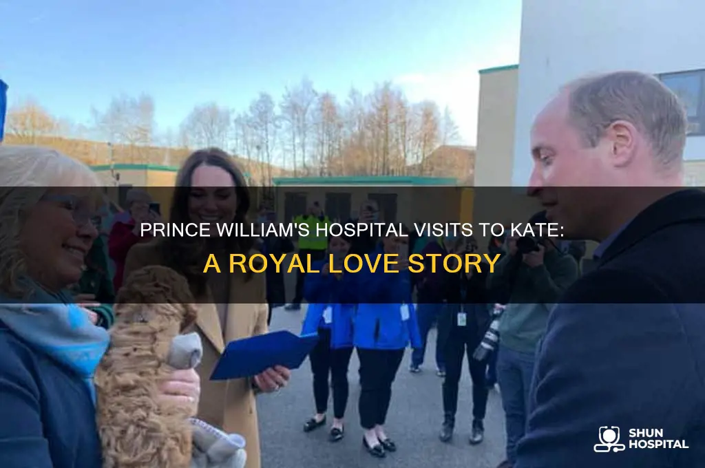 how many times did prince william visit kate in hospital