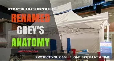 Grey's Anatomy Hospital Renaming History: Unraveling the Name Changes