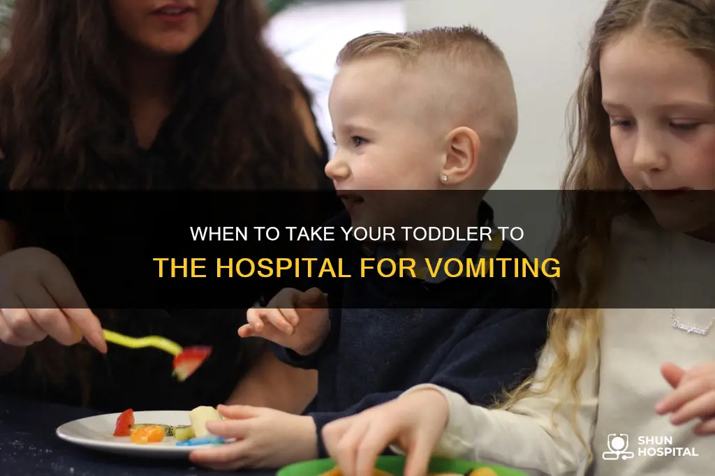 how many times vomit before hospital toddler