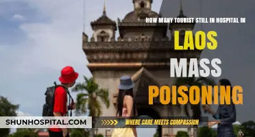 Laos Mass Poisoning Aftermath: Tourists Still Hospitalized, Recovery Updates