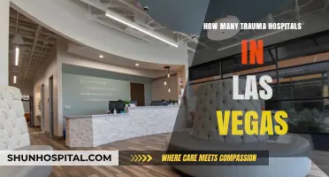 Las Vegas Trauma Hospitals: A Comprehensive Guide