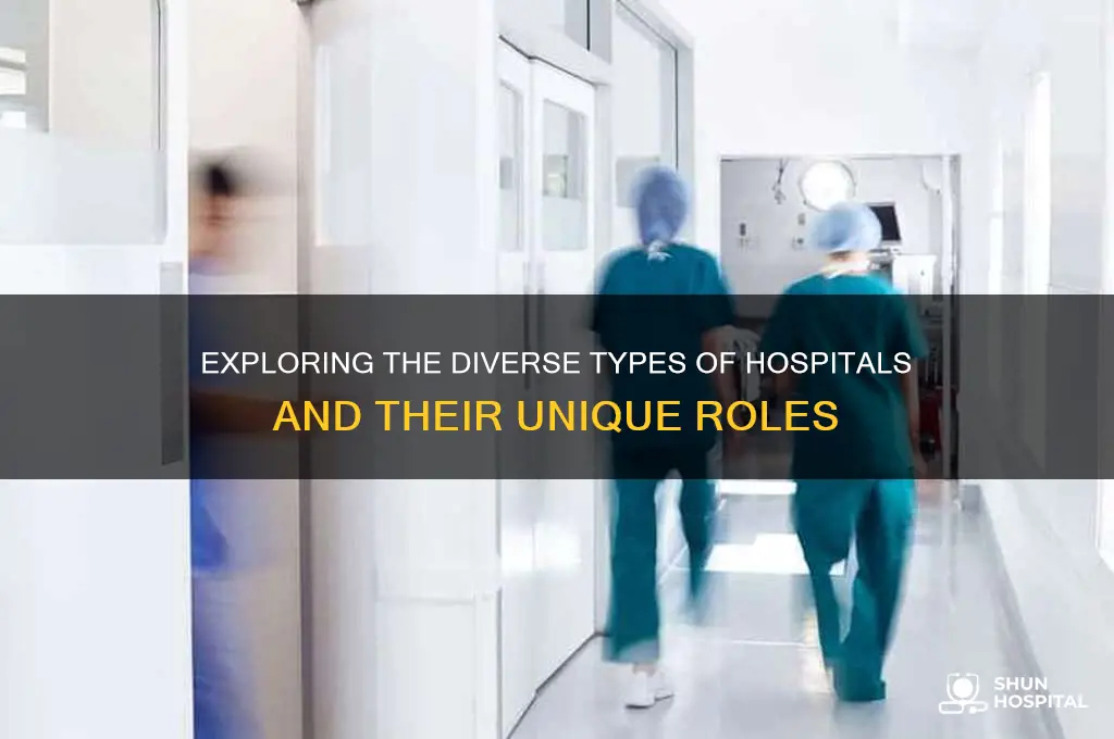 how many types of hospital