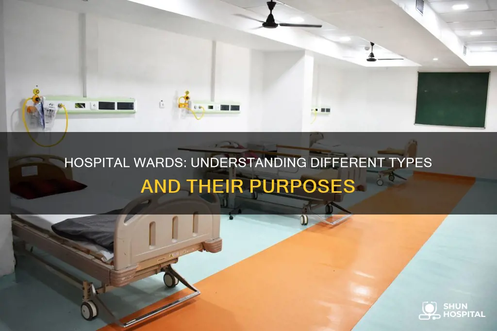 how many types of ward in hospital