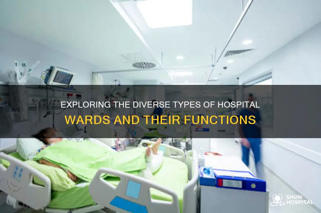 how many types of wards are there in hospitals