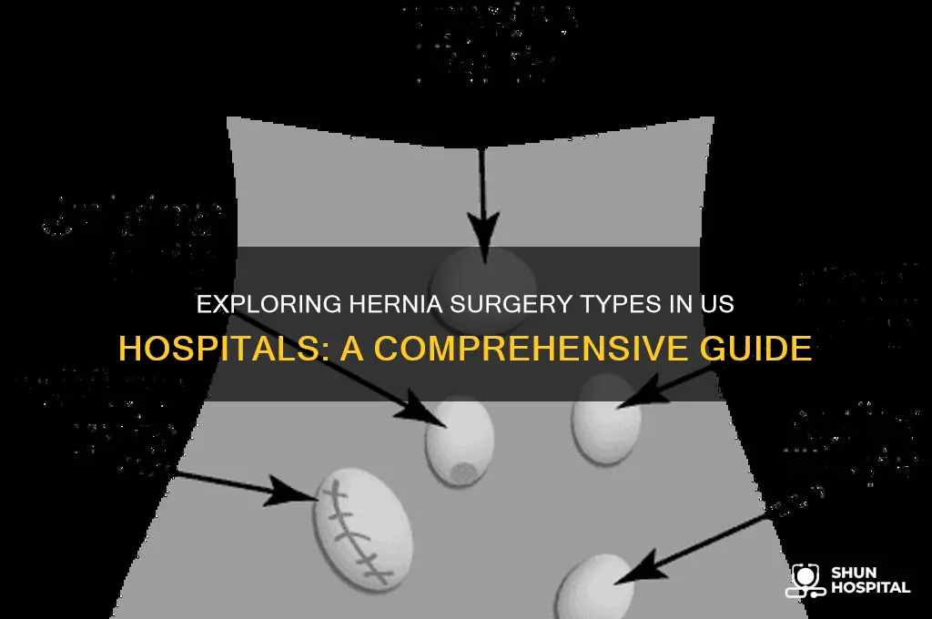 how many types surgery of hernia in usa hospitals