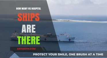 US Hospital Ships: How Many Are There?