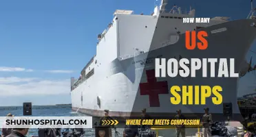 Exploring the Role and Number of US Hospital Ships Today