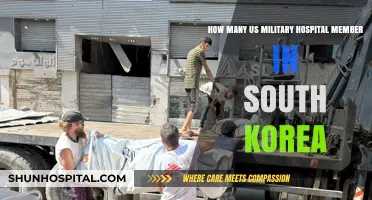 US Military Hospital Staffing Levels in South Korea: A Detailed Overview
