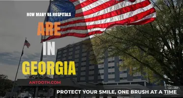 VA Hospitals in Georgia: How Many Are There?
