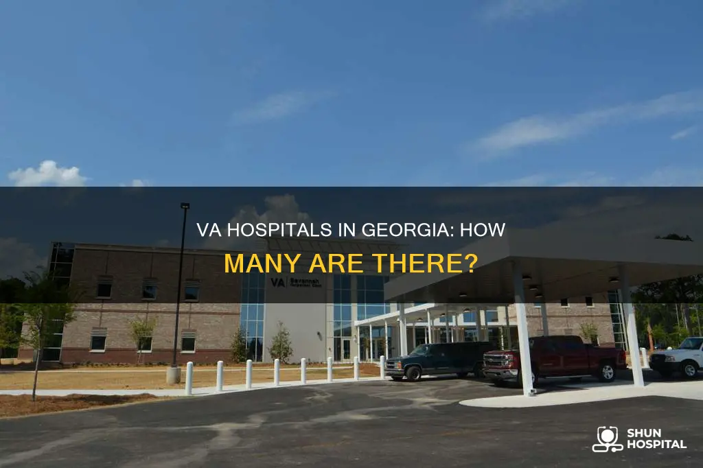 how many va hospitals are in georgia