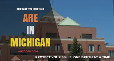 Veterans Affairs: Michigan's VA Hospitals and Their Number