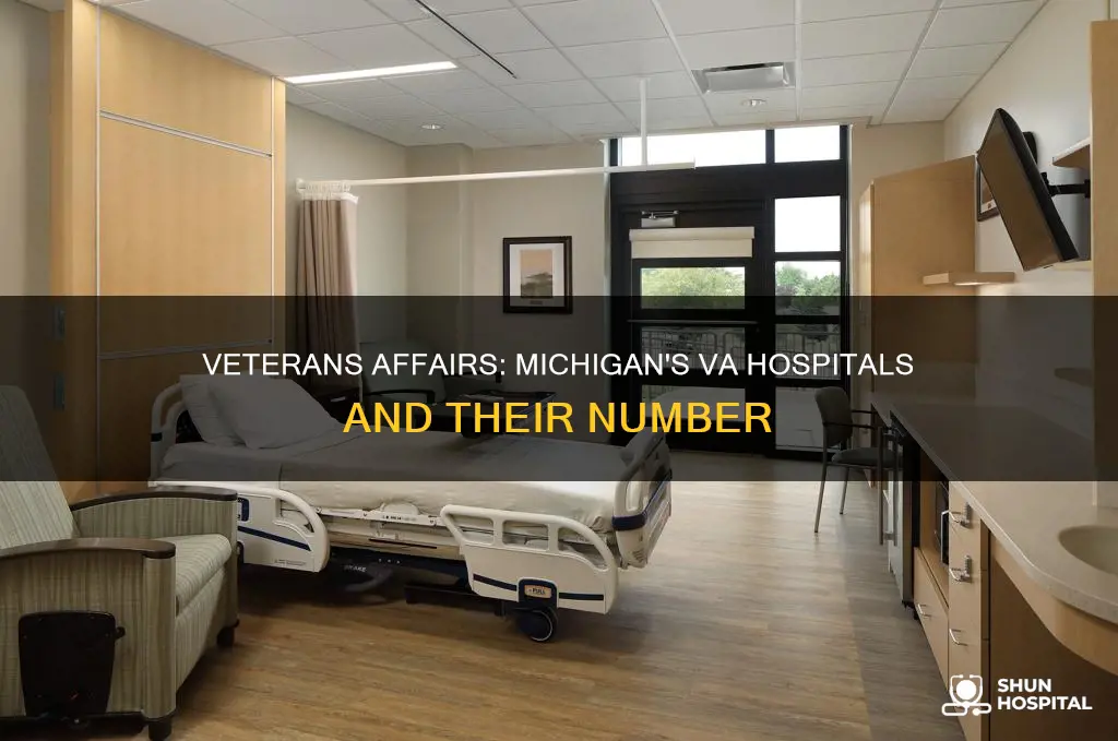 how many va hospitals are in michigan