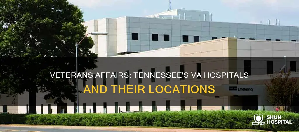 how many va hospitals are in tennessee