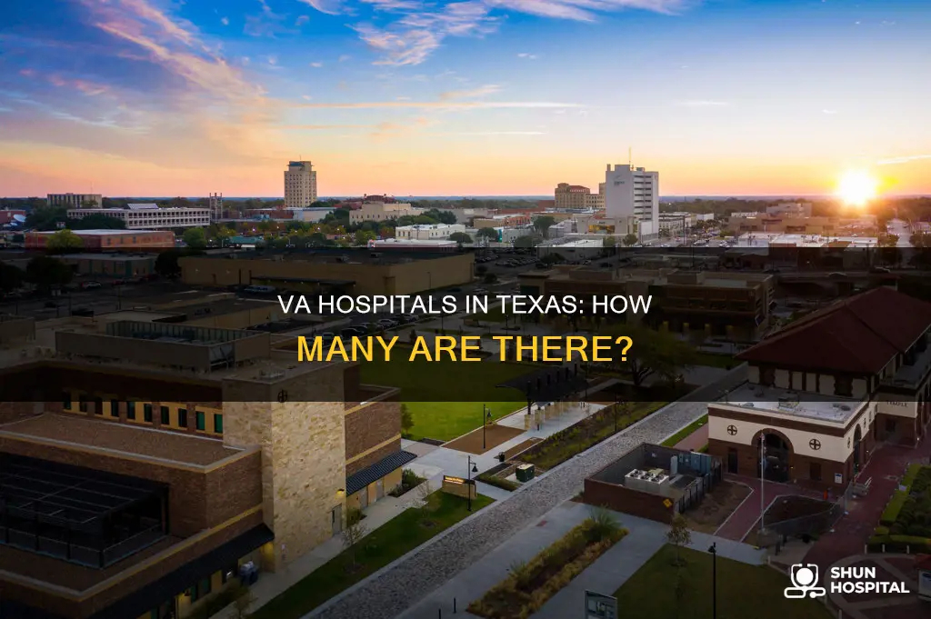 how many va hospitals are in texas